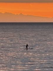 Salish 31